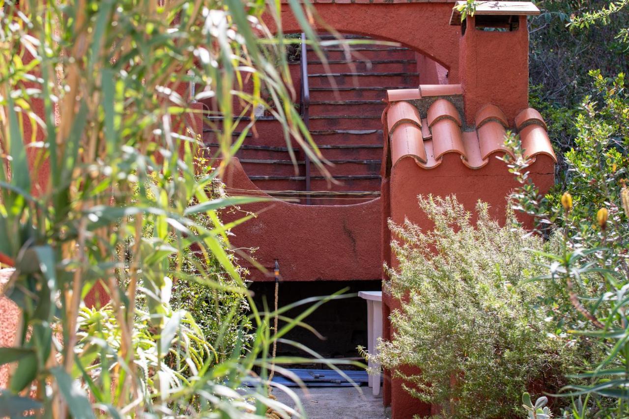 Villa Bougainvilliers Banyuls-sur-Mer Εξωτερικό φωτογραφία