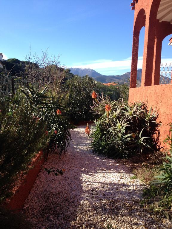 Villa Bougainvilliers Banyuls-sur-Mer Δωμάτιο φωτογραφία