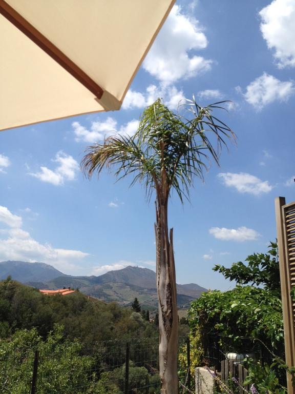 Villa Bougainvilliers Banyuls-sur-Mer Δωμάτιο φωτογραφία
